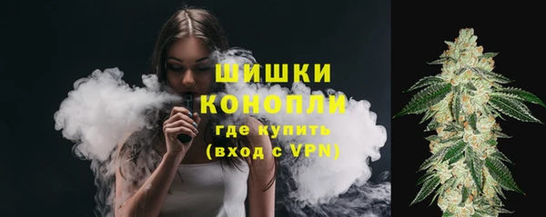 СК Аркадак