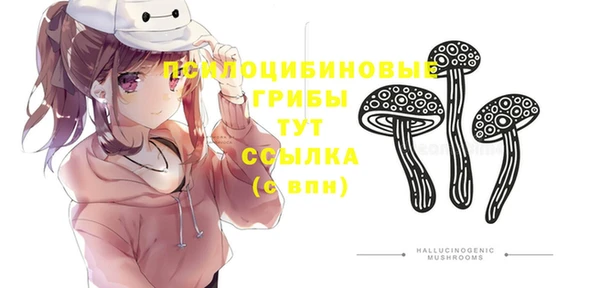 хмурый Армянск